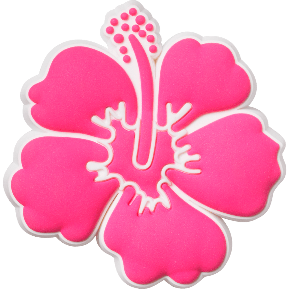 Pink Hibiscus