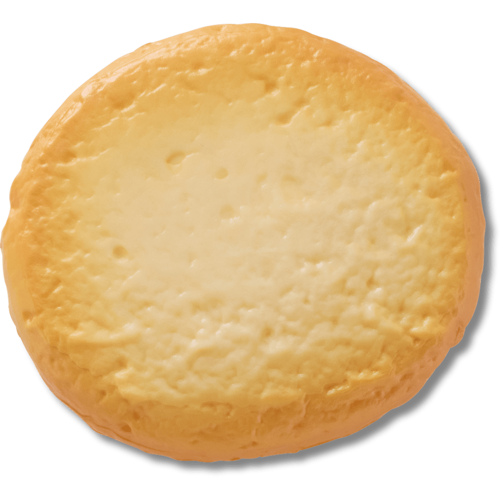 Realistic Round Cookie