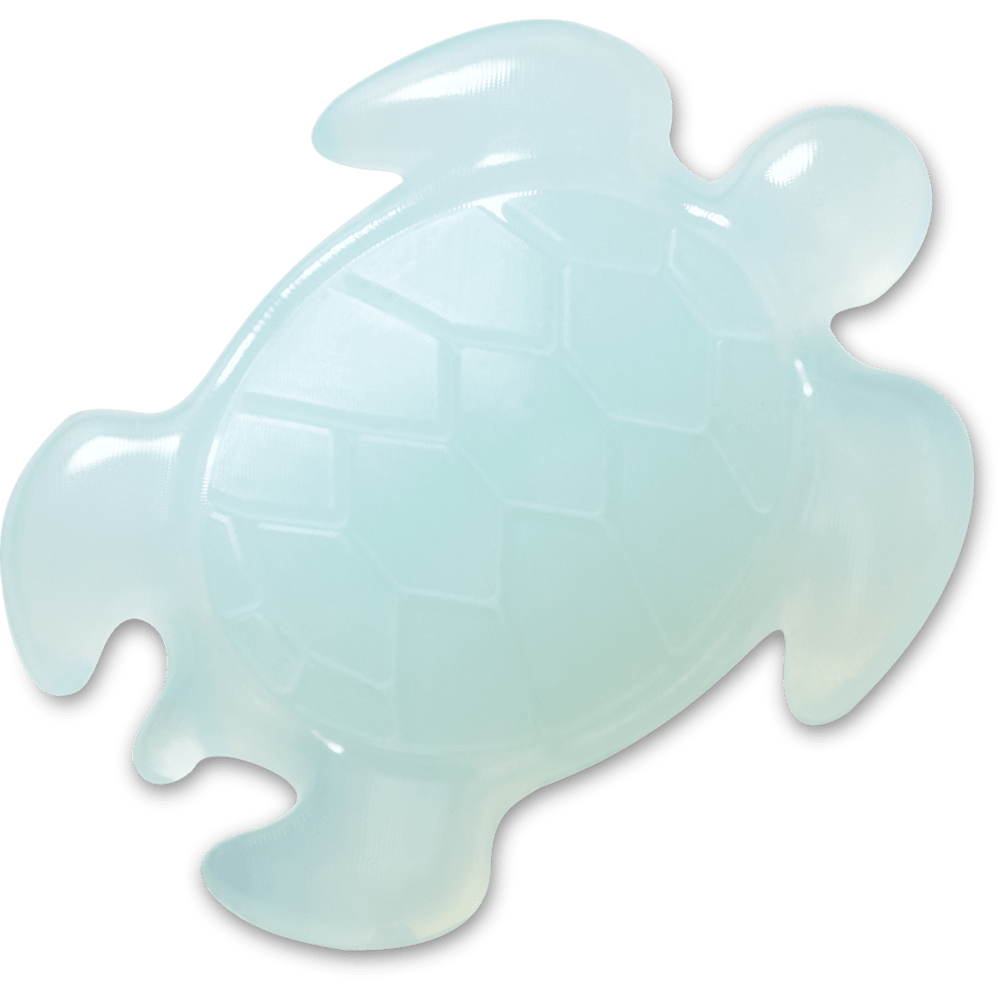Light Blue Turtle