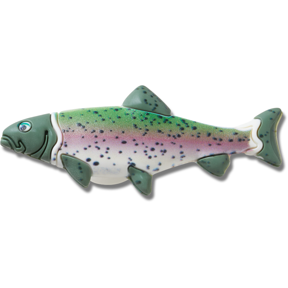 Trout Fish