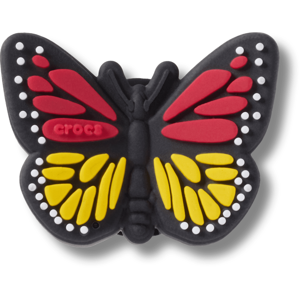 Black and Yellow Butterfly