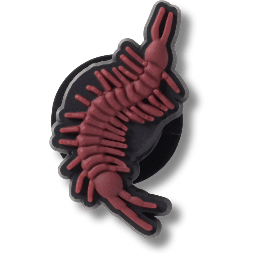 Brown Centipede